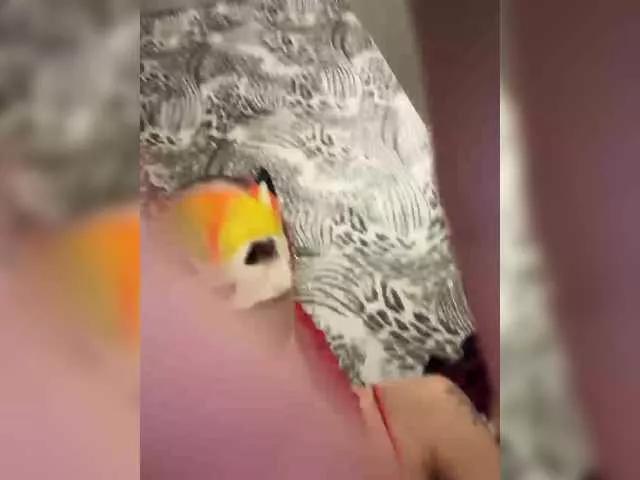 Freechat RedHair13 on BongaCams