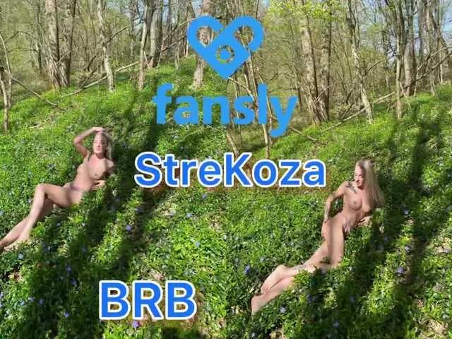 StreKoza — Energy exchange with you and your feedback in the form of tokens)