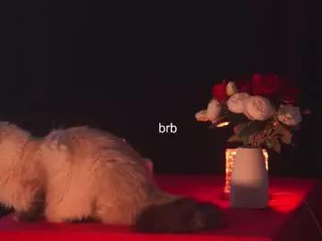 Private hannasthesia on Chaturbate