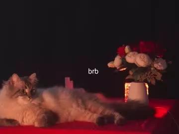 Private hannasthesia on Chaturbate