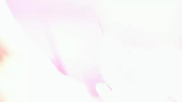 Freechat Eva_Davi on StripChat