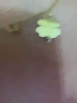 Freechat Eva_Ryen on StripChat