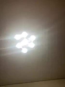 Freechat Janet_Welder on StripChat