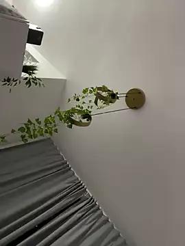 Freechat MelissaReis on StripChat