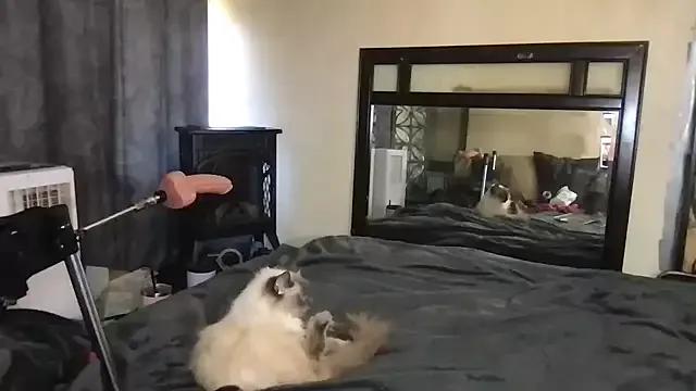 Freechat TiffaneyLove on StripChat